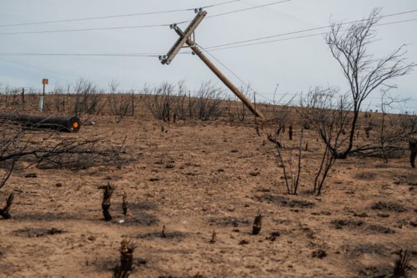 Albuquerque, Santa Fe, El Paso under extreme wildfire threat, NWS says