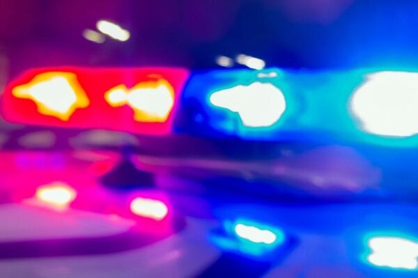 California woman used Puppies for her drug delivery system in Bay Area; lands in Jail for selling Narcotics