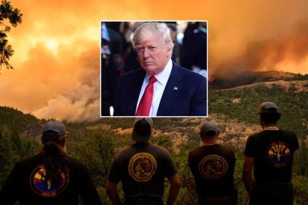 Climate Report Disrupted Nearly 400 Scientists Dismissed by Trump Administration
