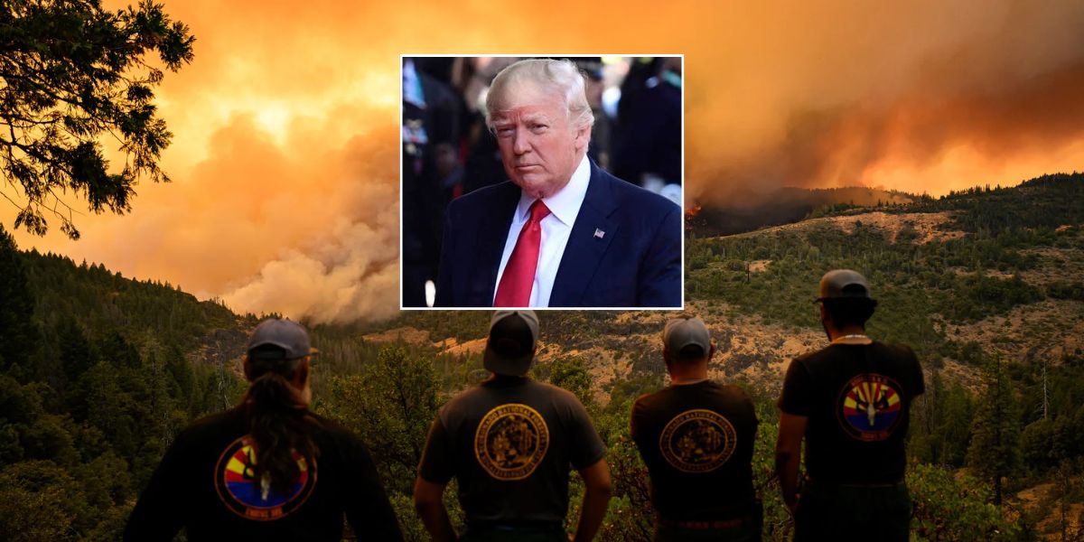 Climate Report Disrupted Nearly 400 Scientists Dismissed by Trump Administration
