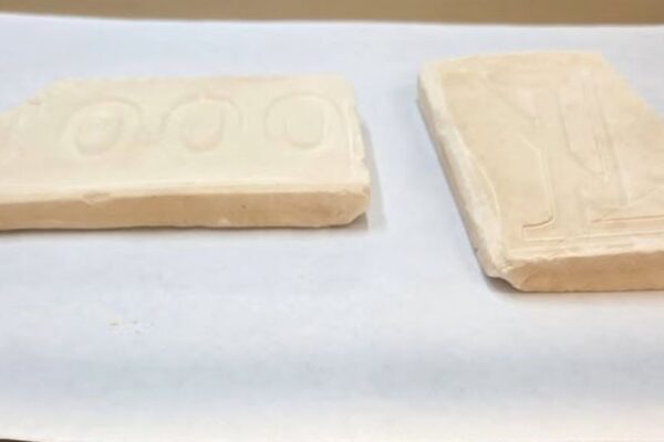 Deadly elephant tranquilizer found in NYC mail, DEA warns of Overdose Risk