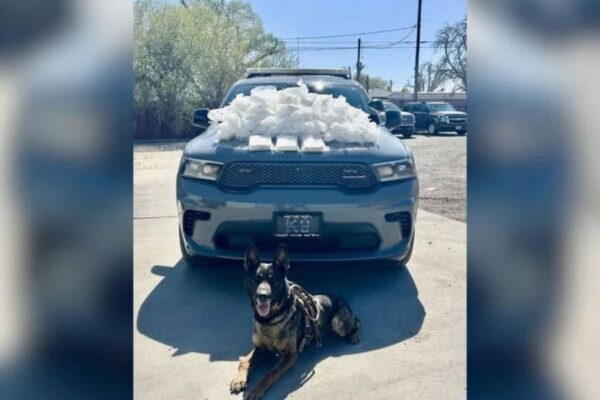 K-9 officer Dak helps seize 107 pounds of Meth and suspicious powder in Drug Bust