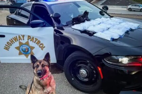 K9 alerts CHP to 20 pounds of Meth in Central Valley traffic stop