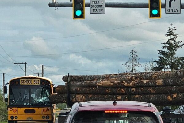 Log falls from Truck, Crashes into Eugene School Bus—Driver injured