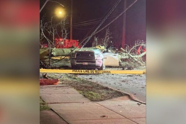 Tree falls on car in Toledo, 1 dead and Pastor injured
