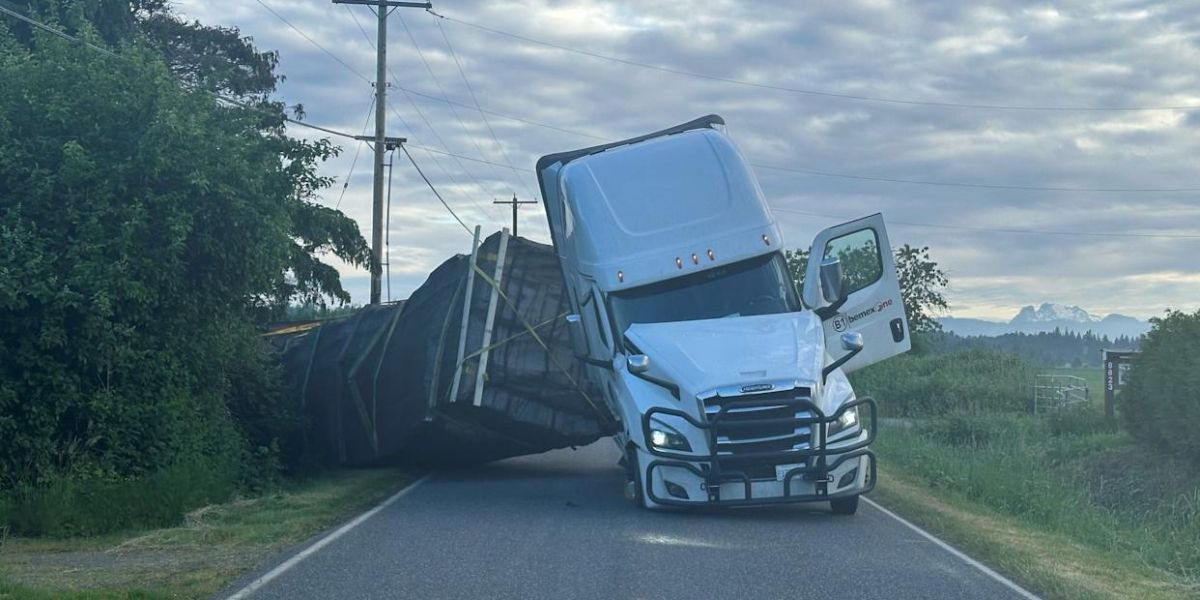 250 Million Bees Release in Washington After Beekeeping Truck Overturns