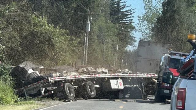 250 Million Bees Release in Washington After Beekeeping Truck Overturns