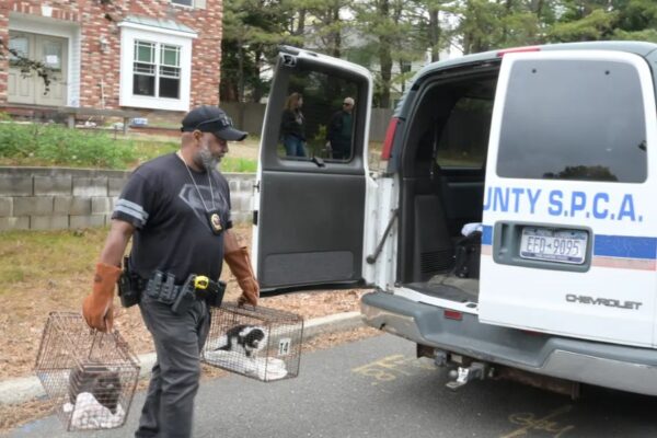 36-year-old Salem man led multi-state drug operation, Feds say in major fentanyl takedown (1)