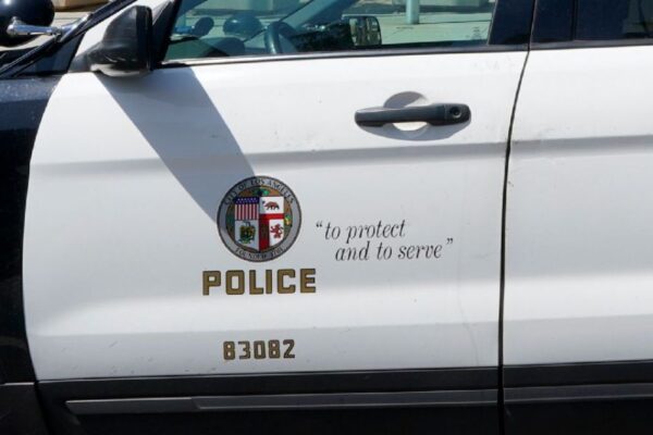 86-year-old woman targeted in burglary and assault attempt, suspect arrested in Los Angeles