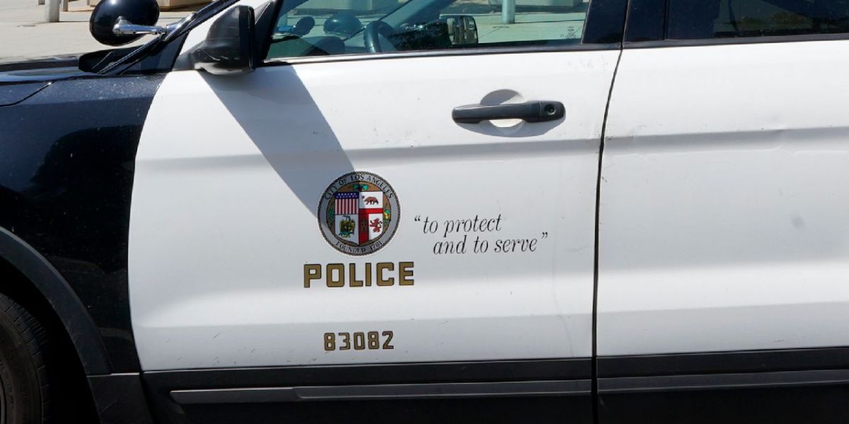 86-year-old woman targeted in burglary and assault attempt, suspect arrested in Los Angeles