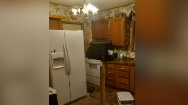 Black Bear Drops Through Ceiling, Makes Itself at Kentucky Home on Kitchen Stove