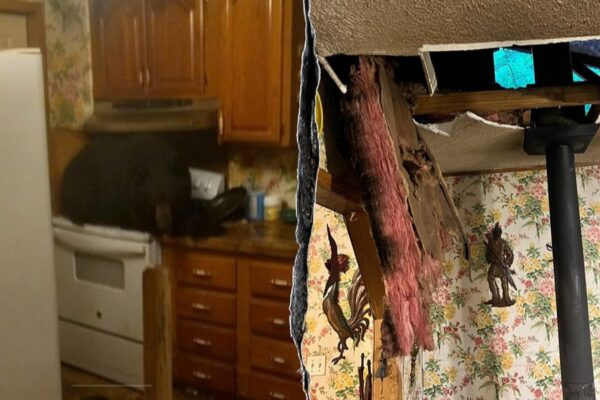 Black Bear Drops Through Ceiling, Makes Itself at Kentucky Home on Kitchen Stove