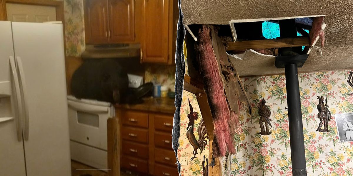 Black Bear Drops Through Ceiling, Makes Itself at Kentucky Home on Kitchen Stove