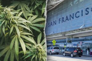 California Woman Faces Charges for Smuggling 151 Pound of Marijuana on Plane