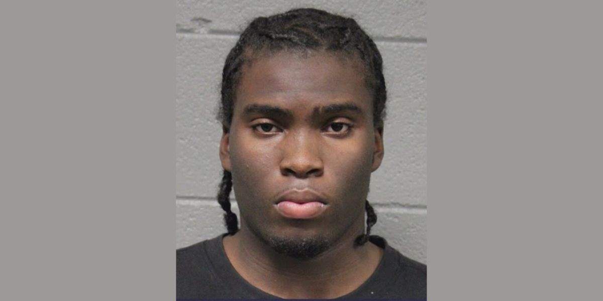 Edgewater teen accused in brutal assaults and burglaries across Chicago