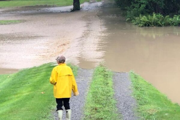 Excessive rainfall prompts overnight flood warning in Livingston County