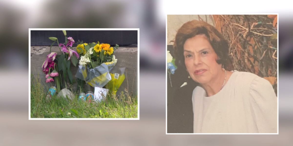 Family Seeks Justice After 84-Year-Old Woman Killed in Southwest Side Crash