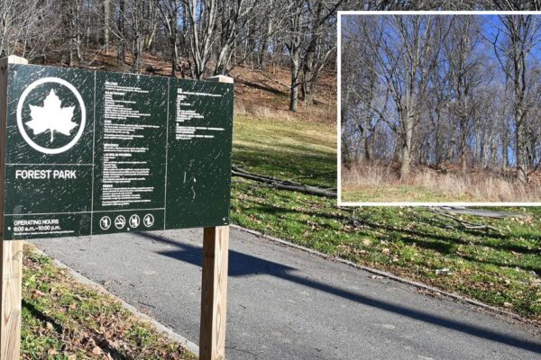 Father Rescues 11-year-old Daughter From Attacker Who Pulled Her into a Secluded Section of a NYC Park