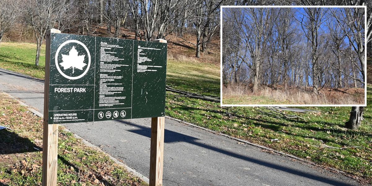 Father Rescues 11-year-old Daughter From Attacker Who Pulled Her into a Secluded Section of a NYC Park