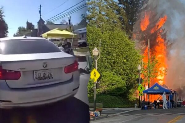 Festival Mayhem Woman Crashes Into Crowd Hours After Explosion — Investigation Underway