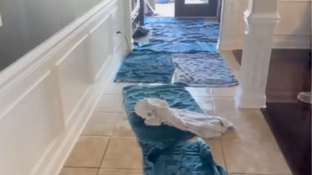 Florida Family Sues Costco Over $700K in Fridge-Related Damages