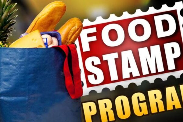 Food Assistance in 2025 Which Immigrant Groups Can Access Food Stamps
