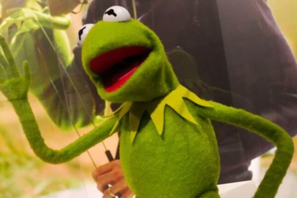 Kermit the Frog Will Deliver Graduation Speech at University of Maryland