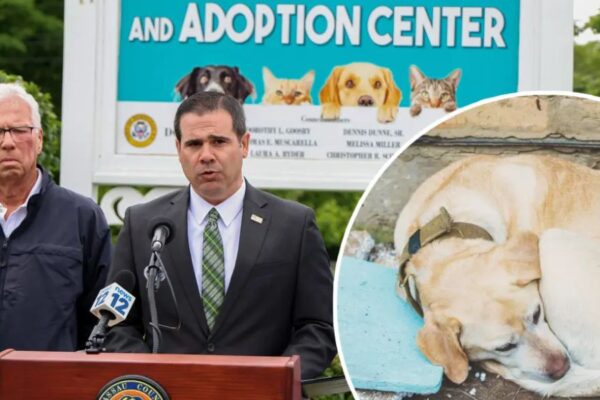 Lawmakers in Nassau County Call for Harsher Consequences for Animal Abuse