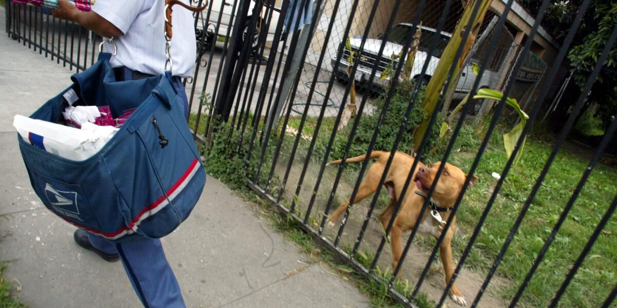 Los Angeles Tops Nation in Dog Attacks on USPS Workers, Report Finds