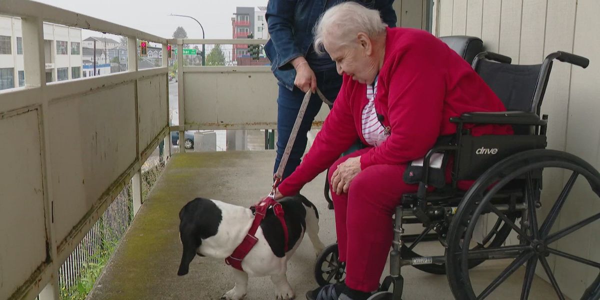 Low-Income Senior Housing in Everett to Shut Down Over Medicaid Budget Gaps