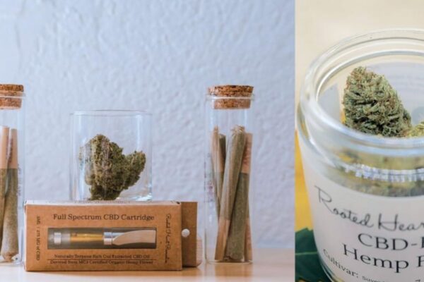Maine Sets New Age and Potency Limits for Hemp Gummies and Drinks