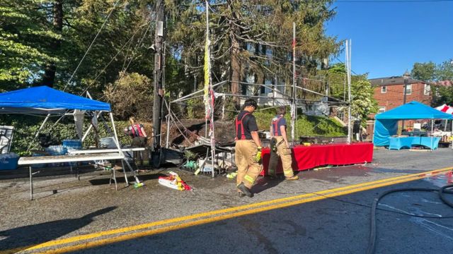 Maryland Festival Mayhem Woman Crashes Into Crowd Hours After Explosion — Investigation Underway