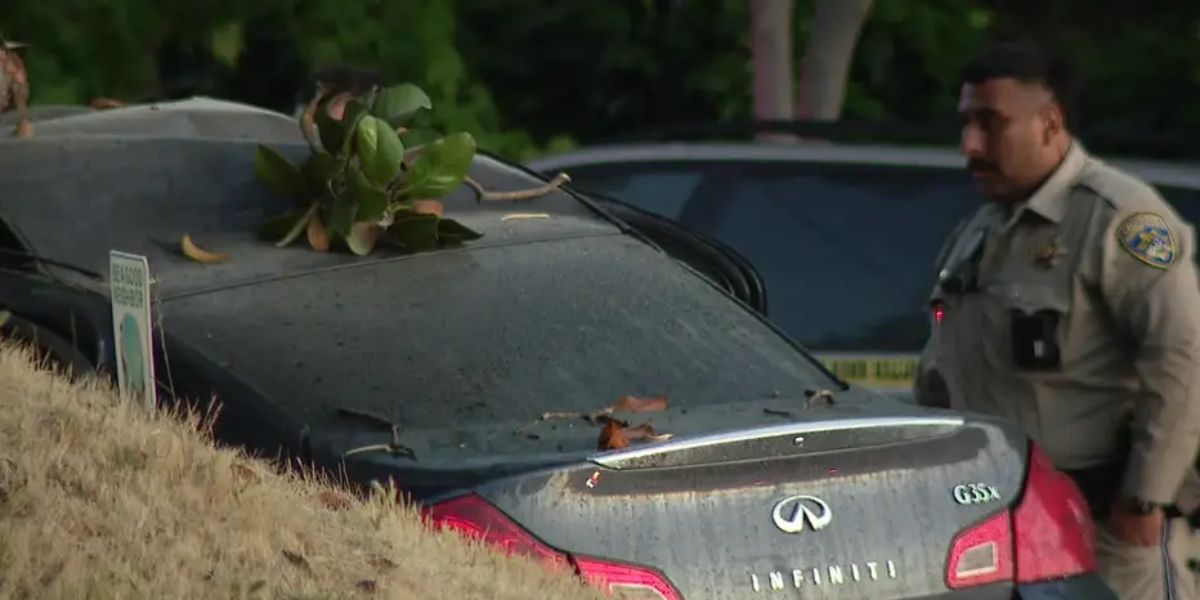 Math teacher dies after high-speed chase ends in deadly crash in Oakland