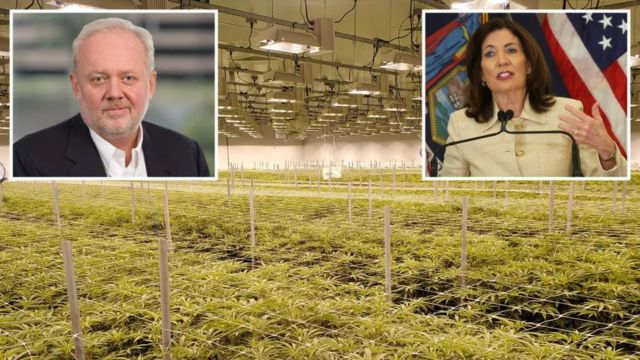 Medical Marijuana Pioneer Slams Hochul, NY Regulators: ‘Want to Destroy Us’