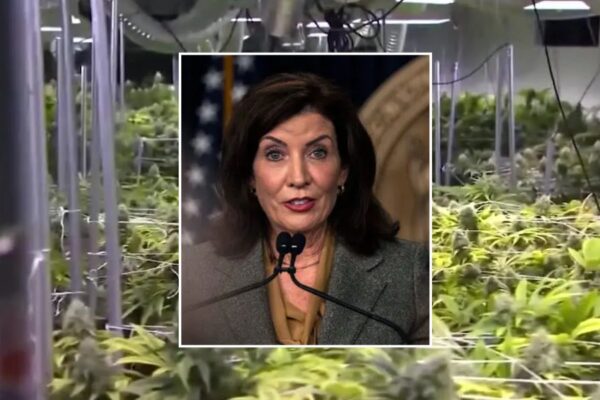 Medical Marijuana Pioneer Slams Hochul, NY Regulators ‘Want to Destroy Us’