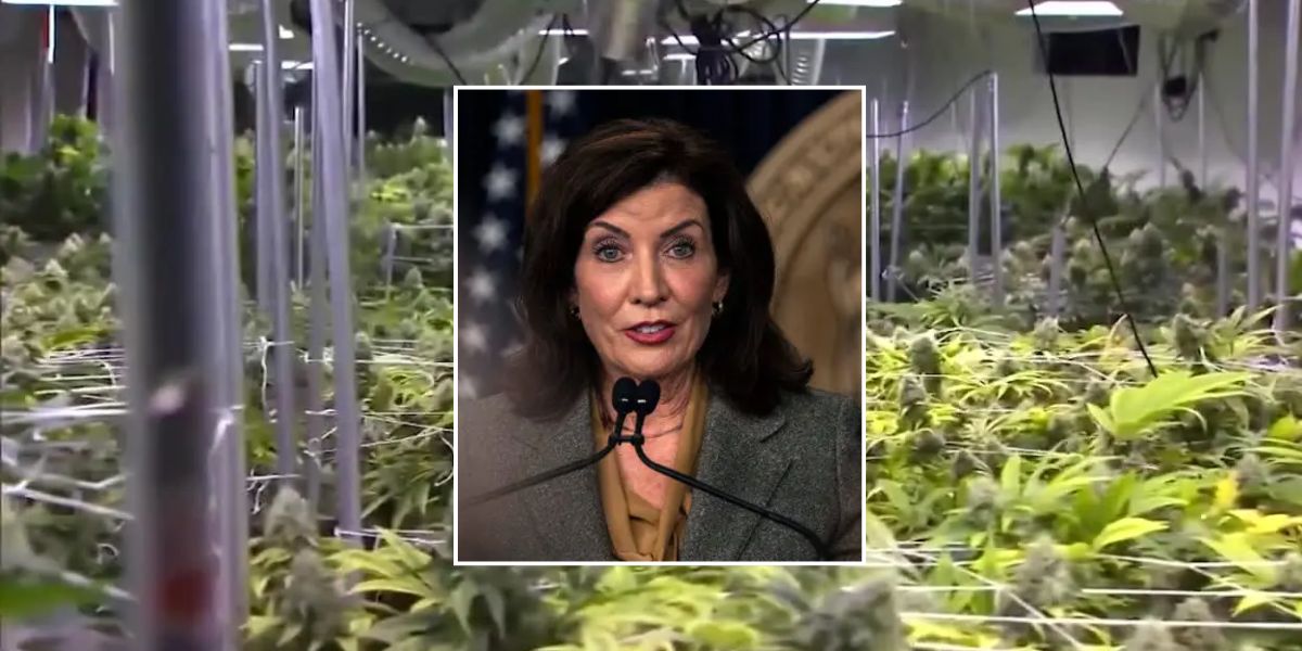 Medical Marijuana Pioneer Slams Hochul, NY Regulators ‘Want to Destroy Us’
