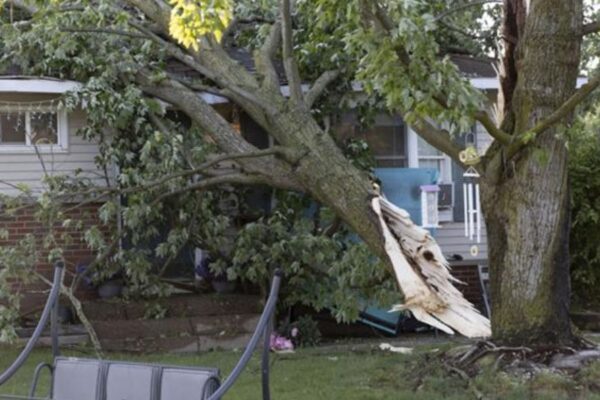 NWS Confirms 7 Tornadoes Touched Down in North Texas Overnight