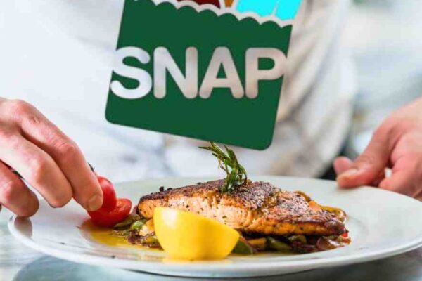 Can SNAP Cards Be Used for Hot Food? Here's the U.S. Policy Breakdown