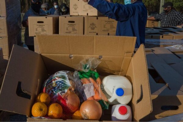 New Trump Plan Would Swap Grocery Assistance for Seniors with MAHA Food Boxes