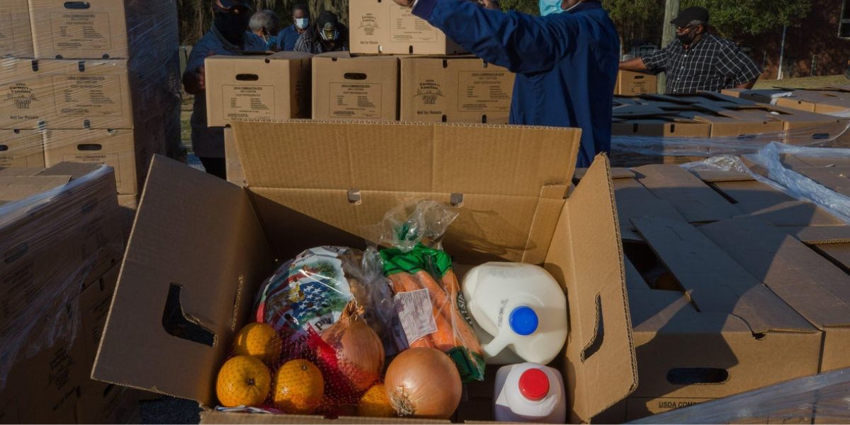New Trump Plan Would Swap Grocery Assistance for Seniors with MAHA Food Boxes