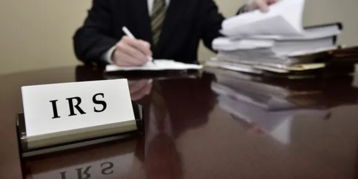 Pet Food to Bodybuilding Oil The Weirdest Tax Deductions That Actually Passed the IRS