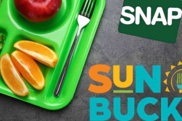 SNAP 2025 Update This State Ends Summer EBT (SUN Bucks) Program