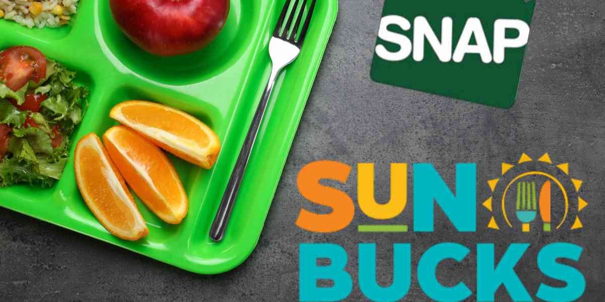 SNAP 2025 Update This State Ends Summer EBT (SUN Bucks) Program