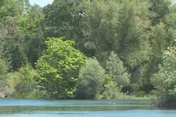 Sacramento Nonprofit Opposes Army Corps of Engineers Development Plan Sacramento Nonprofit Opposes Army Corps of Engineers Development Plan