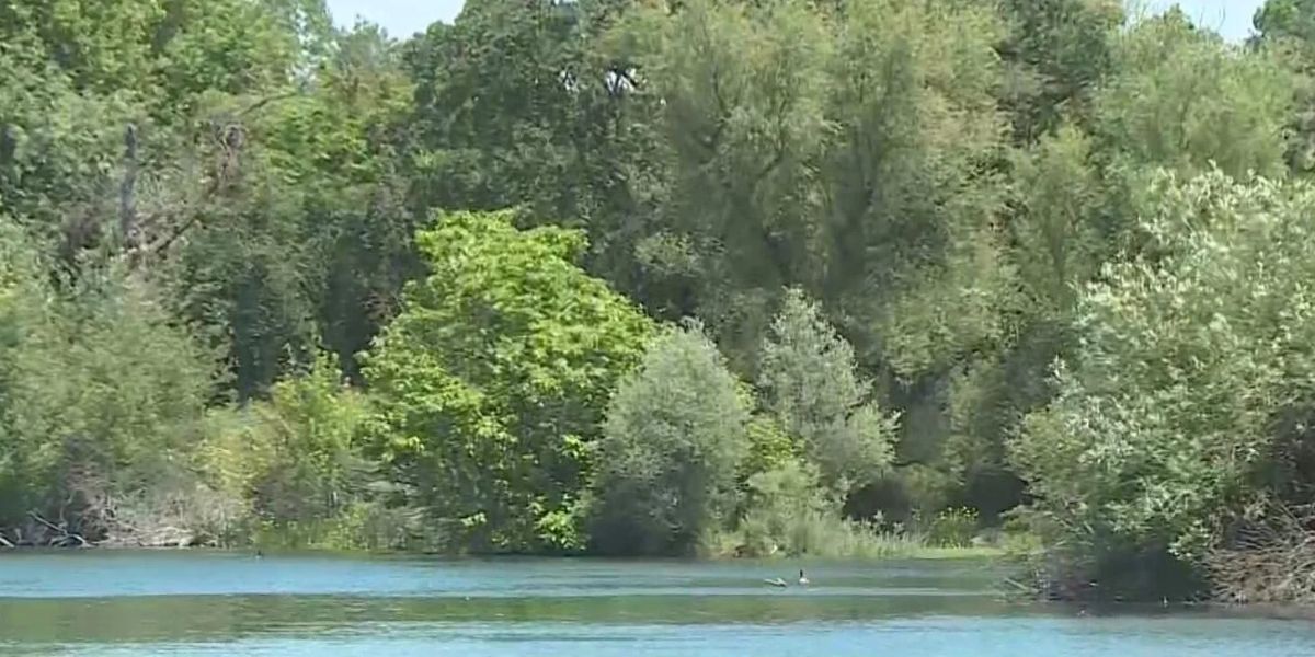 Sacramento Nonprofit Opposes Army Corps of Engineers Development Plan