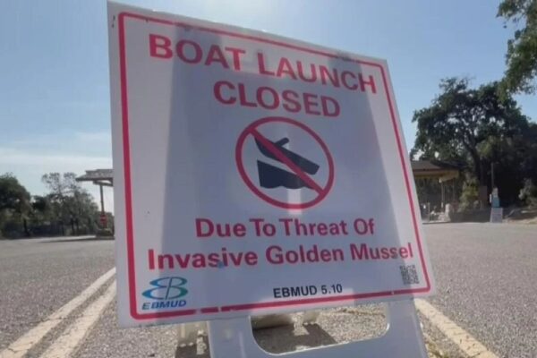 San Joaquin Utility District Implements Ban on Boats, Alcohol at Lake Comanche
