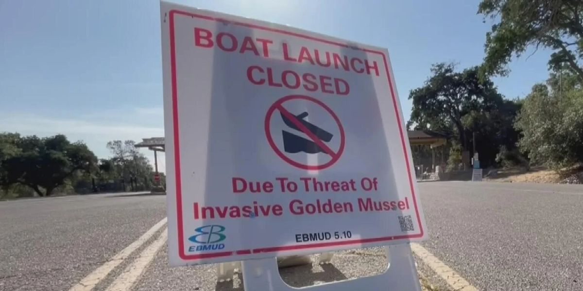 San Joaquin Utility District Implements Ban on Boats, Alcohol at Lake Comanche