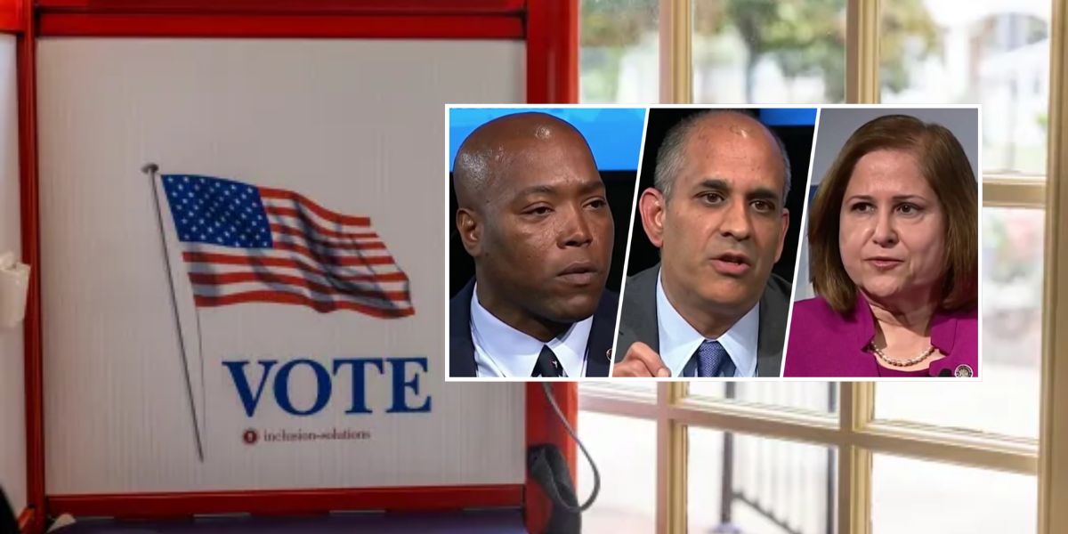 Six Virginia Democrats Compete for Lieutenant Governor Nomination