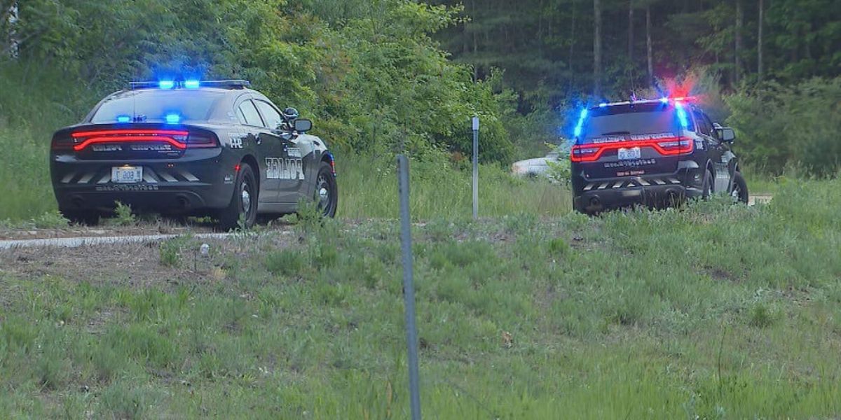 Teen, 13, died after crashing stolen car; passenger rescued after people heard her screaming for help in Bedford