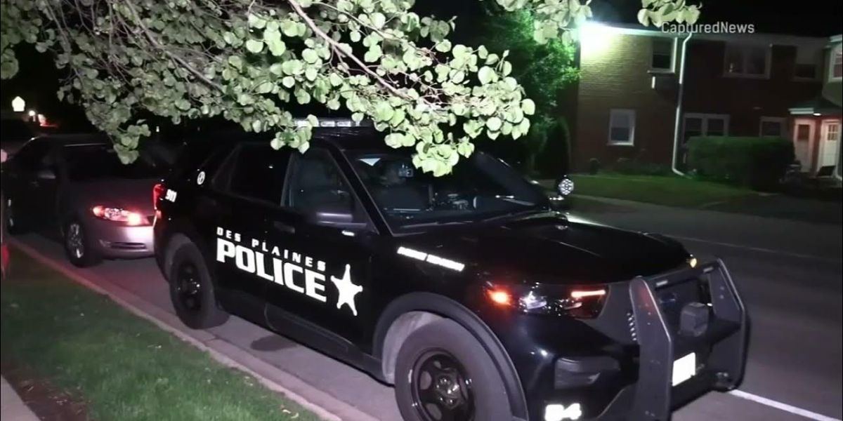 Volvo slams into tree in Des Plaines; crash shuts down Elmhurst road